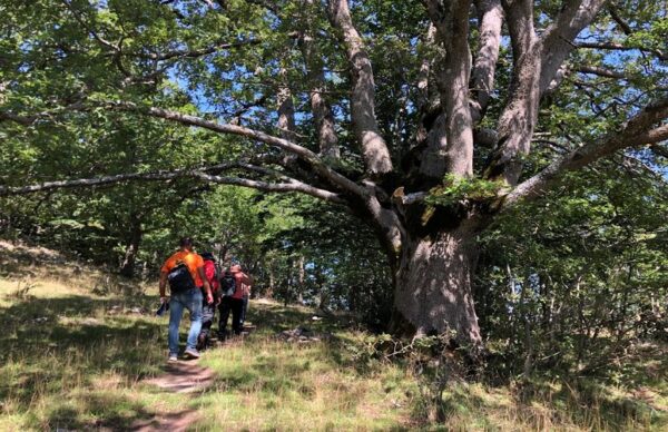 Trekking Madonie e Dintorni